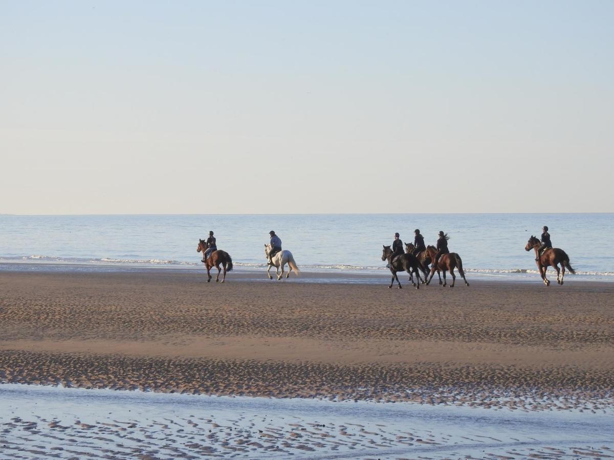 Les 3 Mouettes A Cabourg - Cote Normande 아파트 외부 사진
